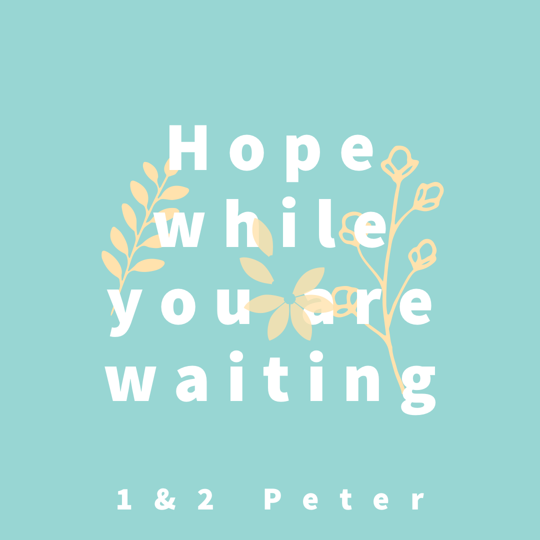 Hope While You Are Waiting